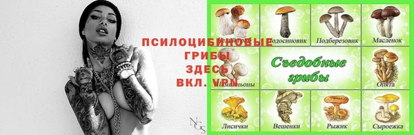 хмурый Снежногорск