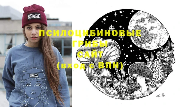 СК Балахна