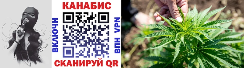 Шишки марихуана конопля  как найти закладки  Томари 